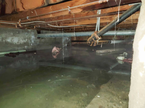 Best Fire Damage Restoration  in Elmira Heights, NY
