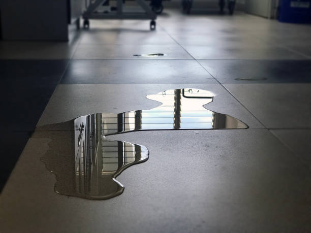 Best 24-hour water damage restoration  in Elmira Heights, NY